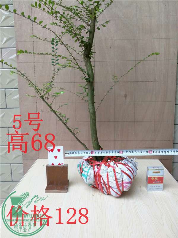 02.jpg