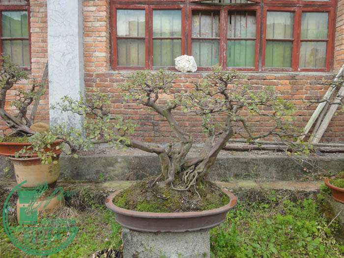 DSC03312.JPG