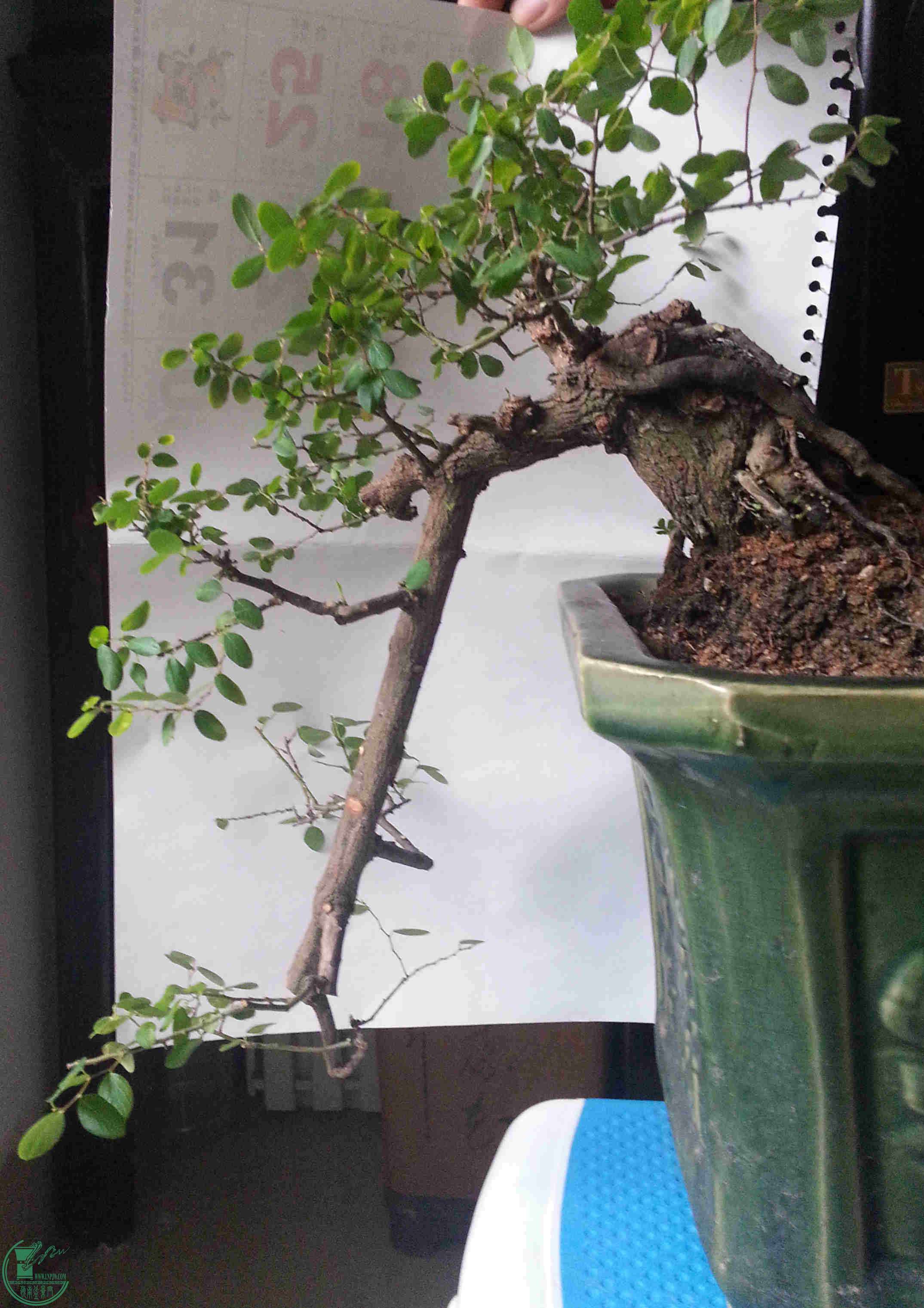 20160217_100214_.jpg