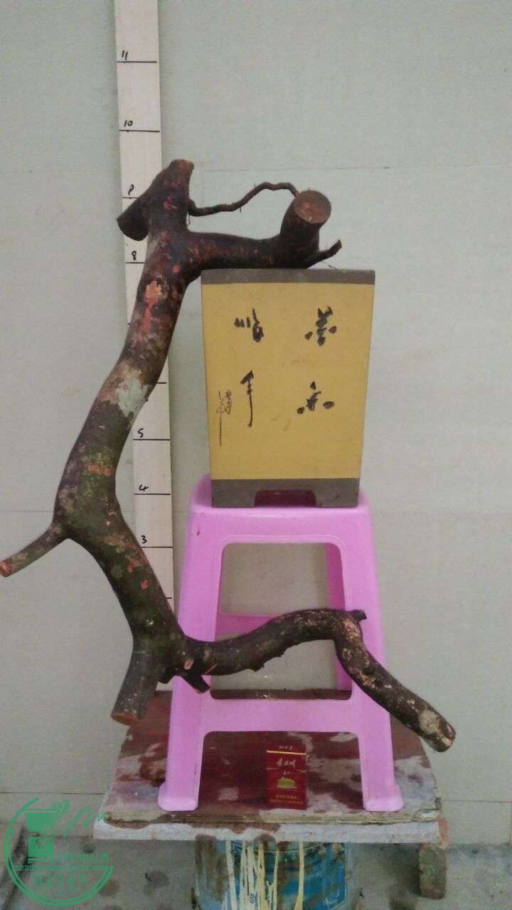 QQͼƬ20160217190529.jpg
