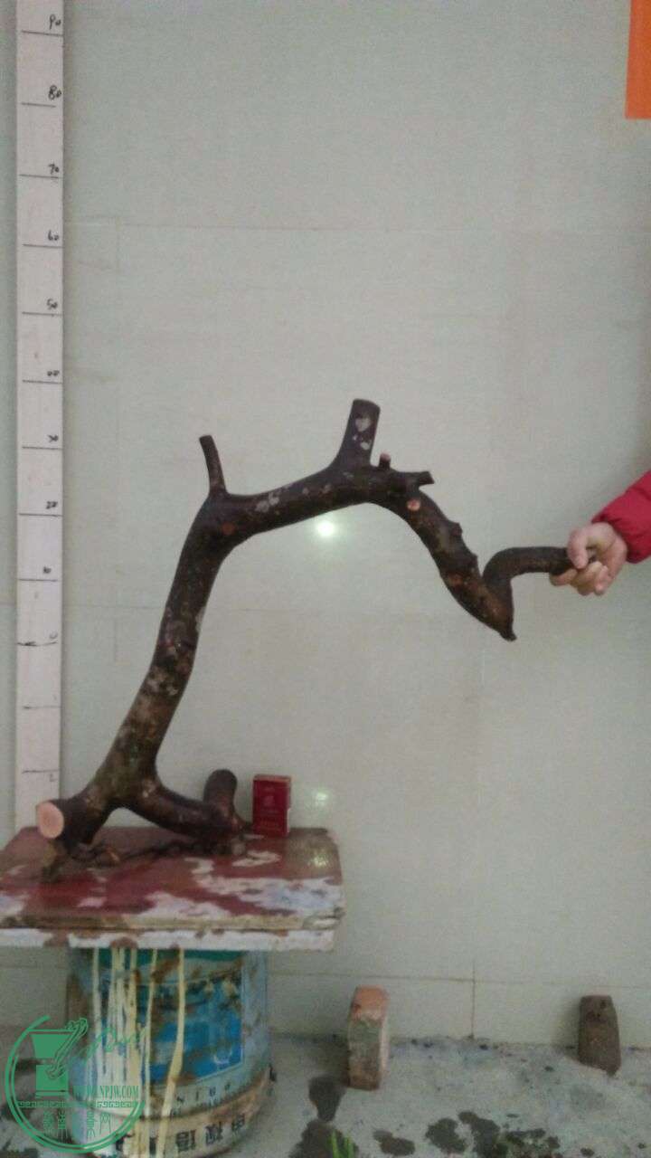 QQͼƬ20160217190520.jpg