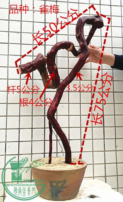 1_1.jpg