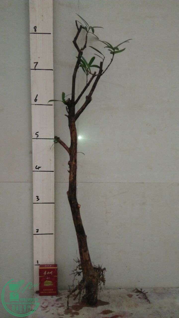 QQͼƬ20160217190759.jpg