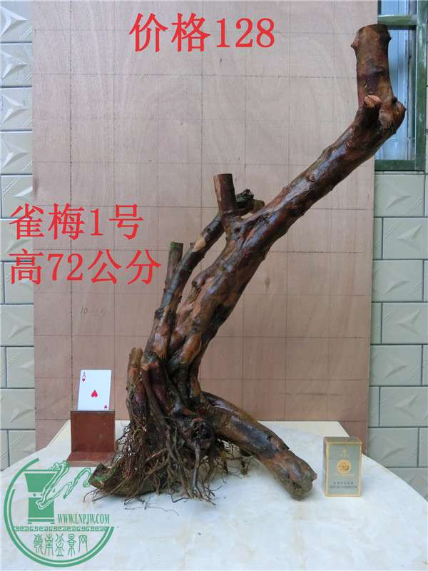 CIMG0210_.jpg