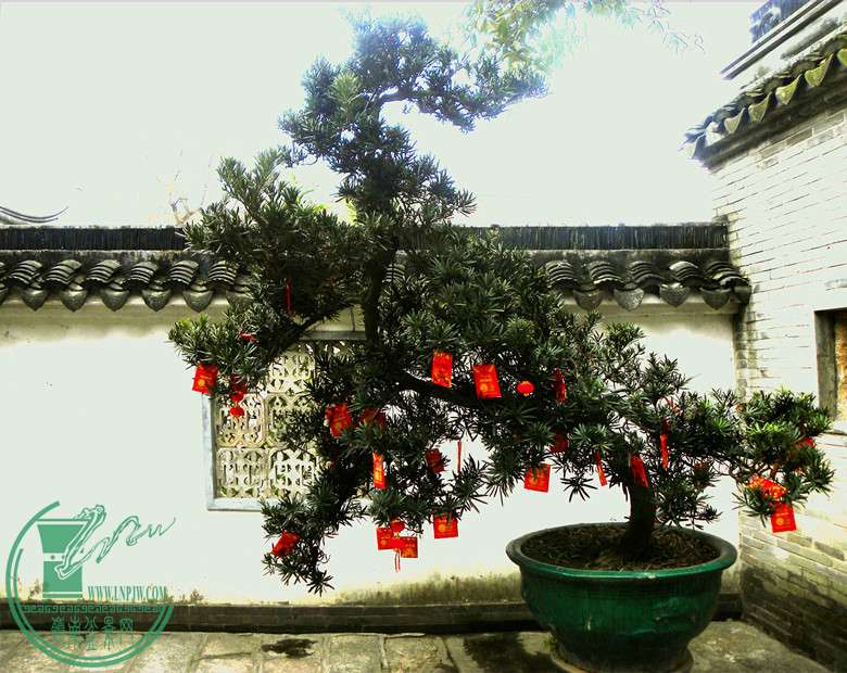 DSCN2861.jpg