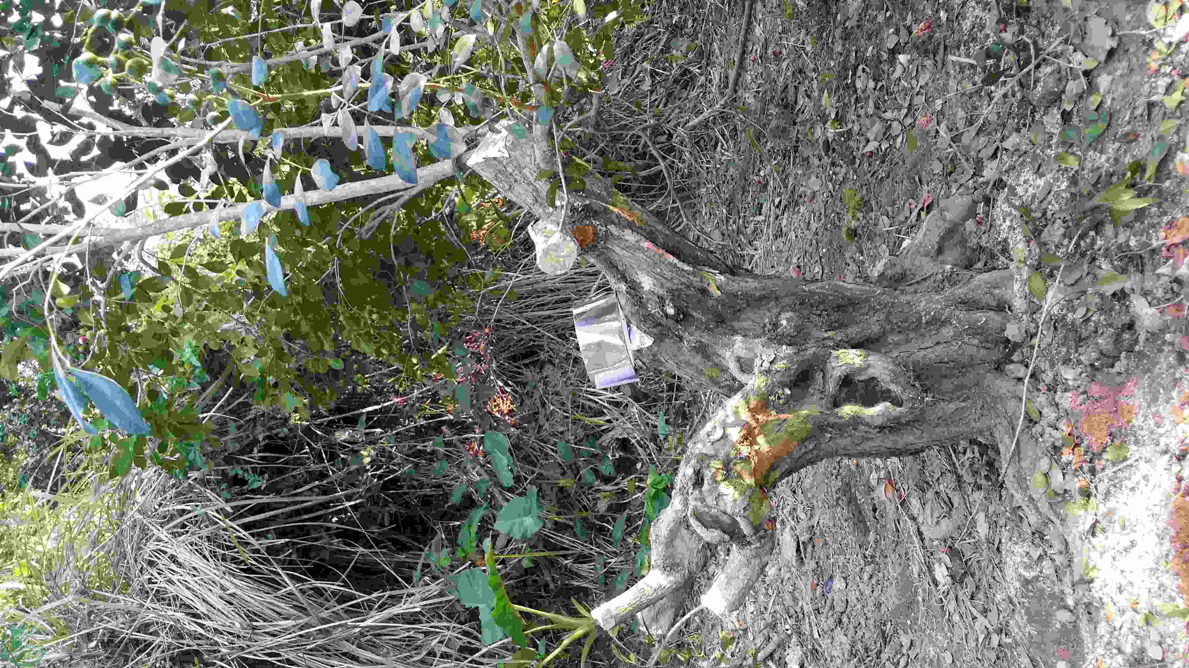 20160213_165133.jpg