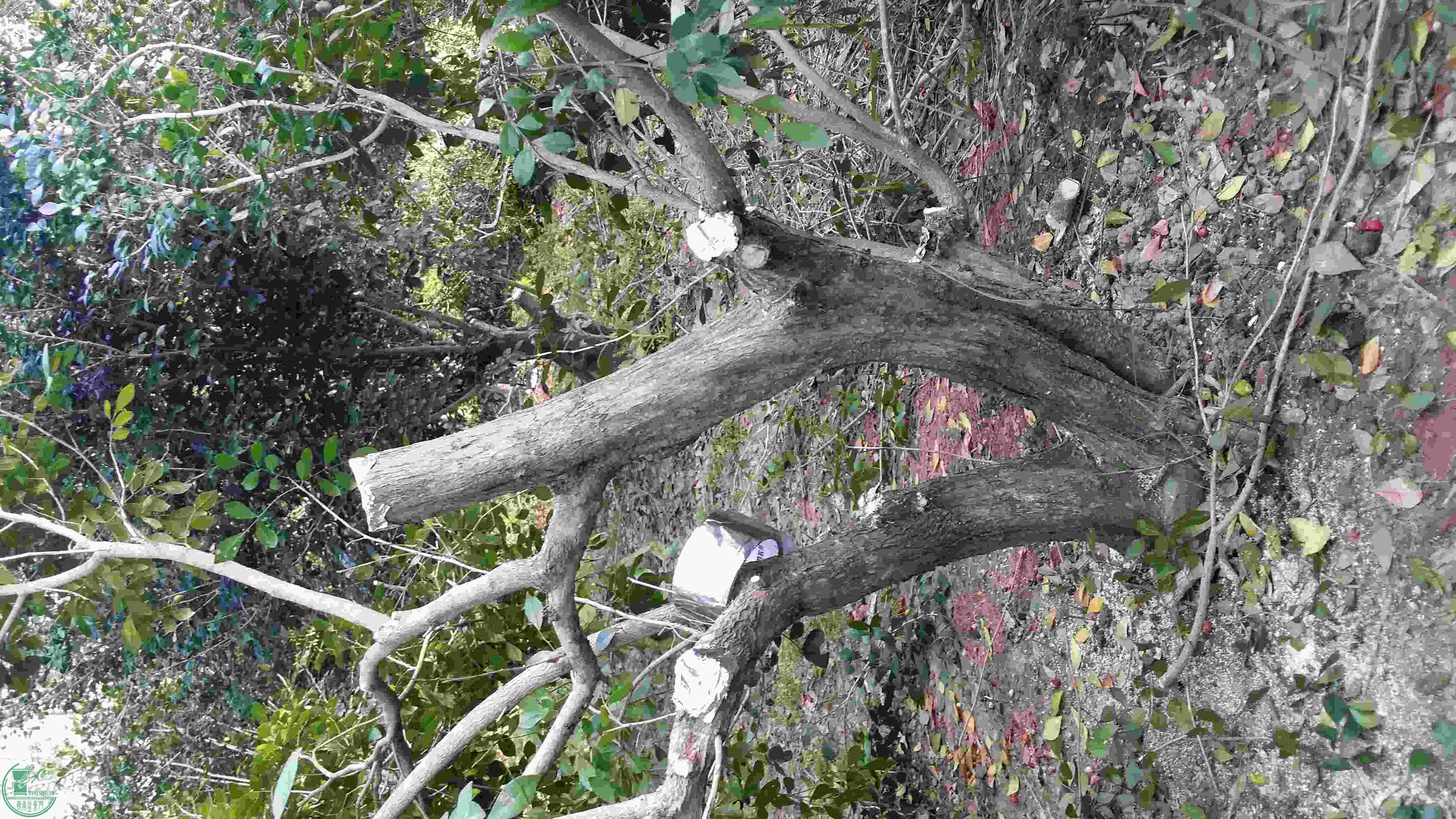 20160213_165234.jpg