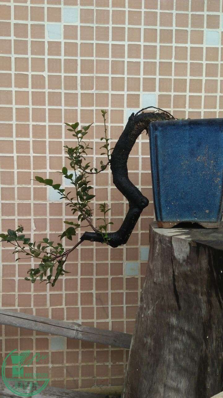 QQͼƬ20160218192333.jpg