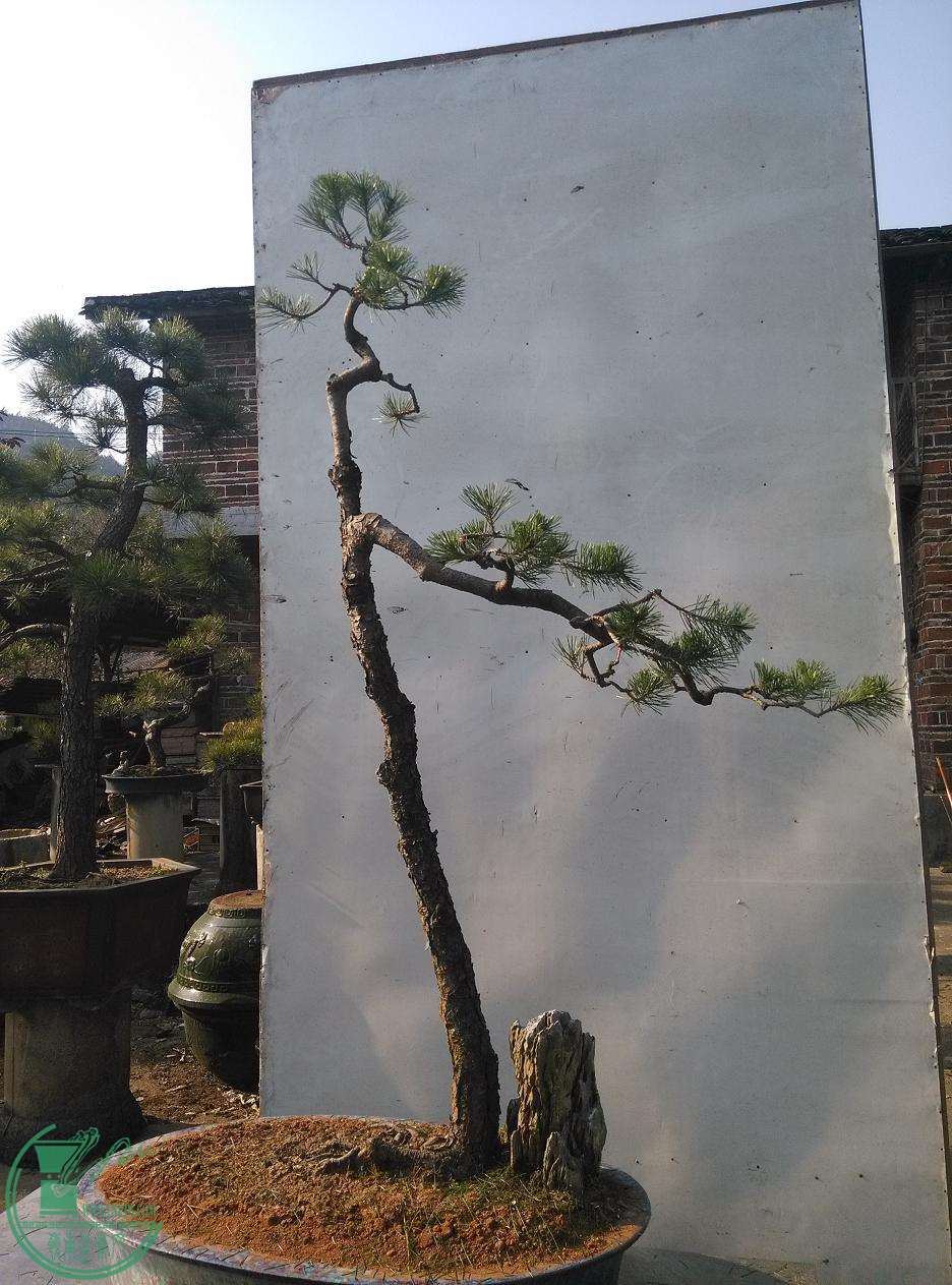 04.jpg