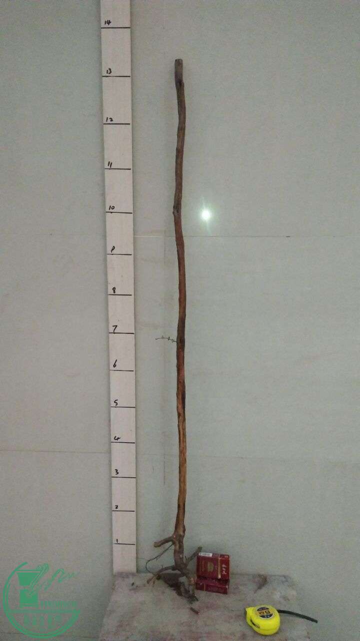 QQͼƬ20160218192358.jpg