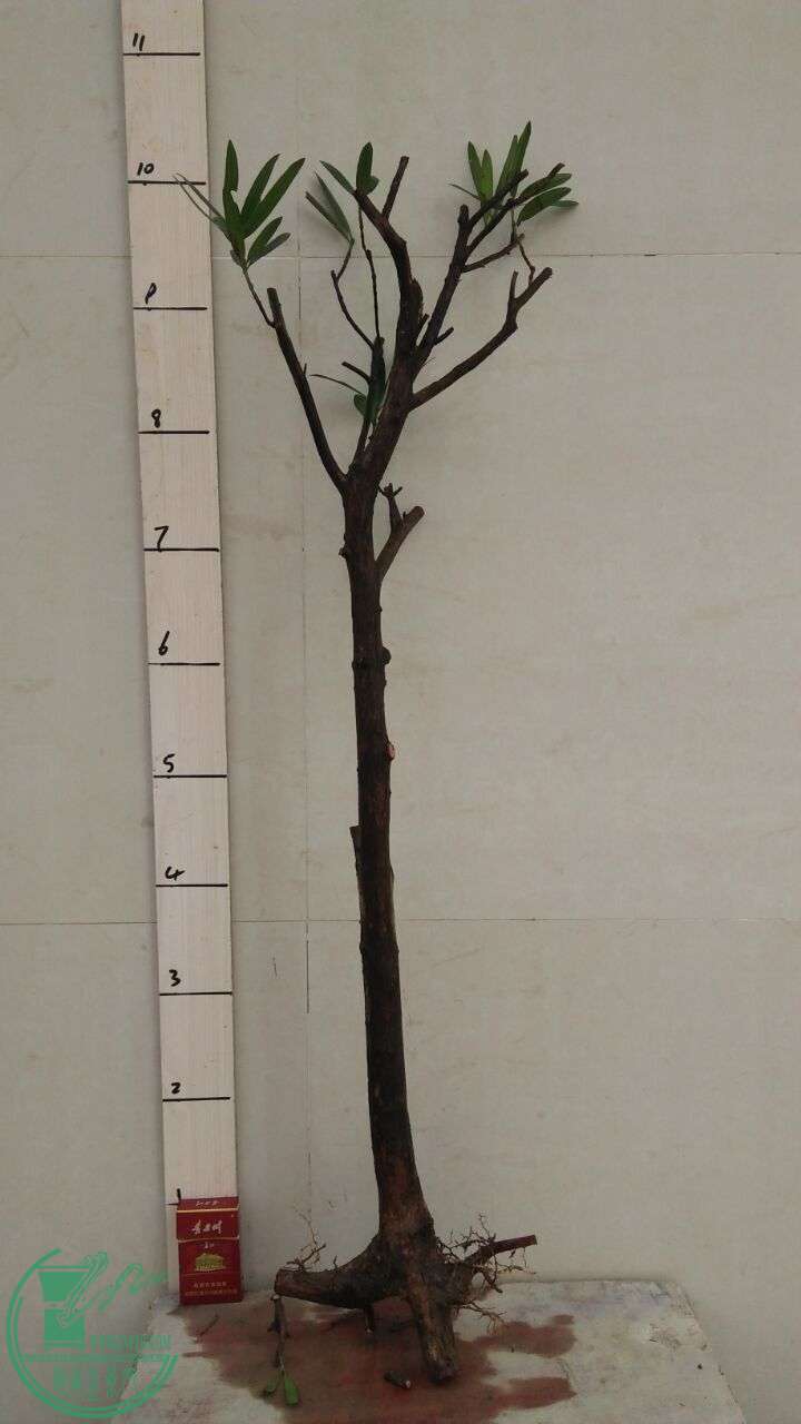 QQͼƬ20160218192540.jpg