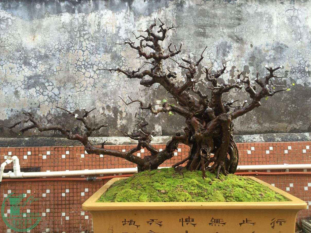 ,賤80cm,20cm.120cm10cm