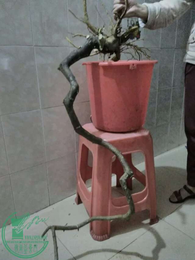 20.jpg