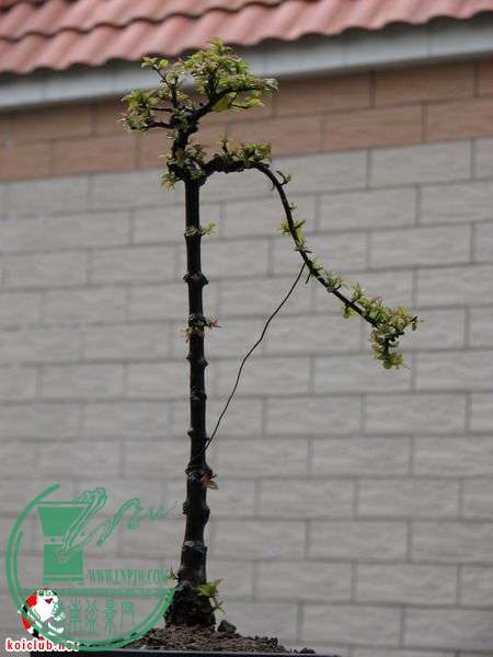 20120220_660a4b48dc4bb443443crI1Xwcpnleh2.jpg