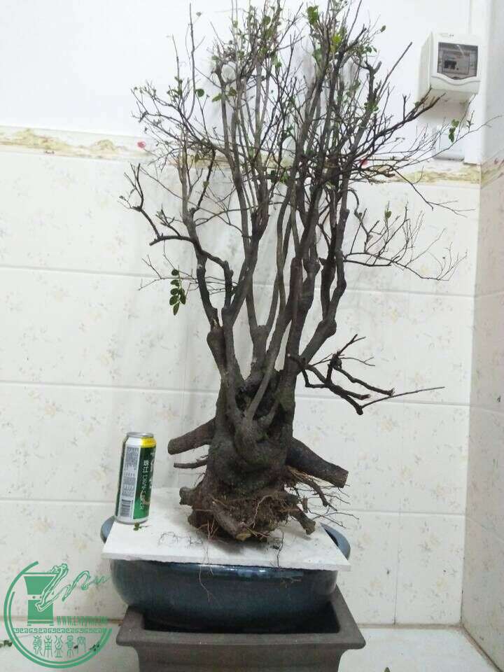 QQͼƬ20160221200841.jpg