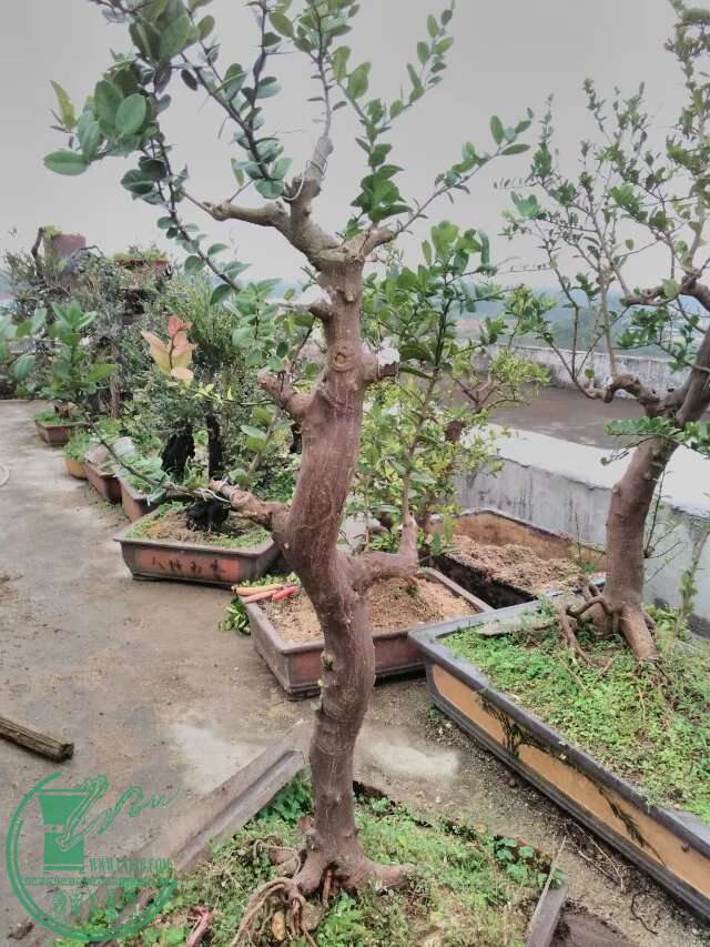 107.jpg