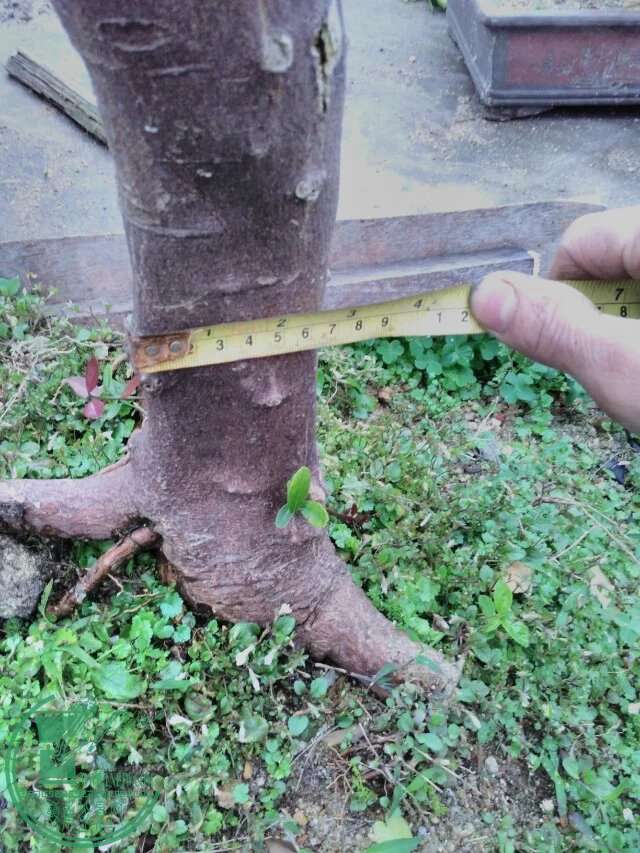 109.jpg