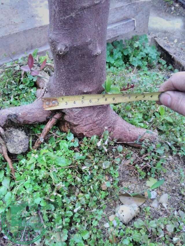 110.jpg