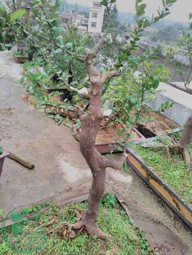 114.jpg