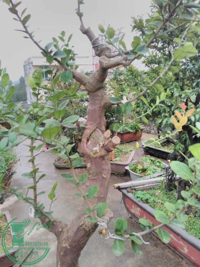 116.jpg