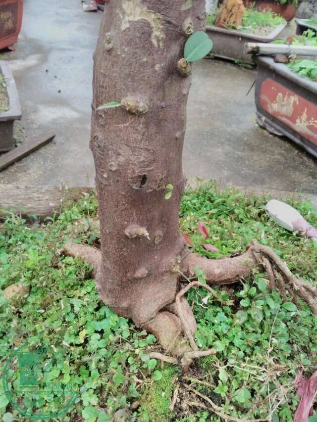 117.jpg