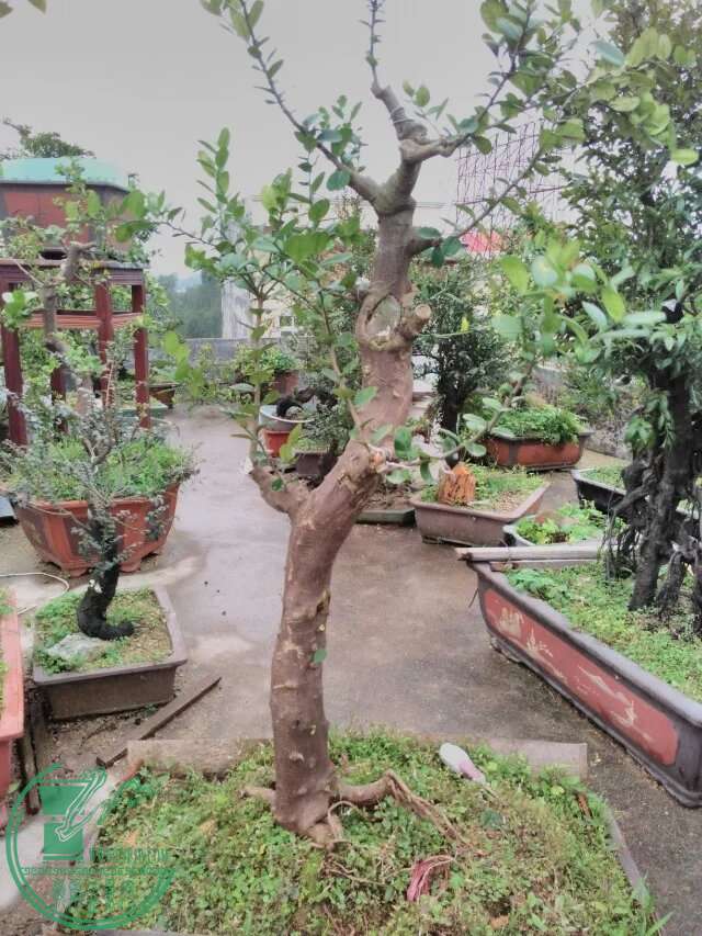 118.jpg