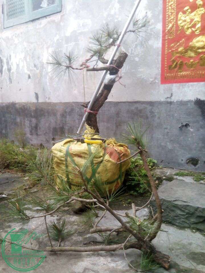 QQͼƬ20160223142135.jpg