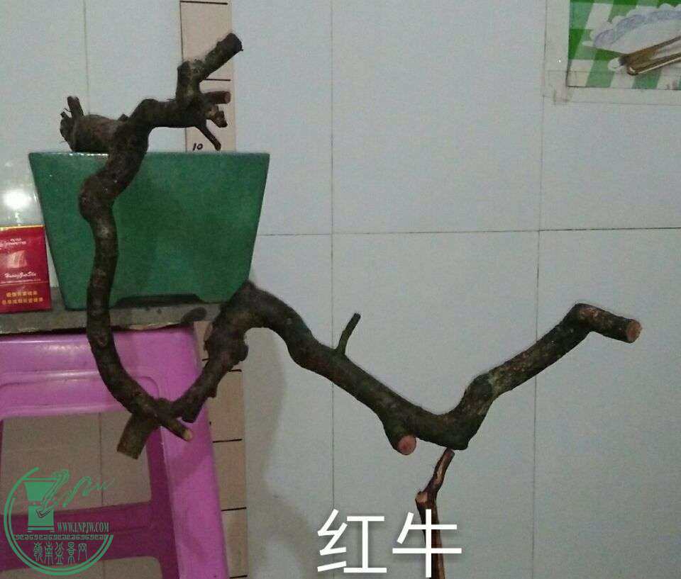 QQͼƬ20160223214115.jpg