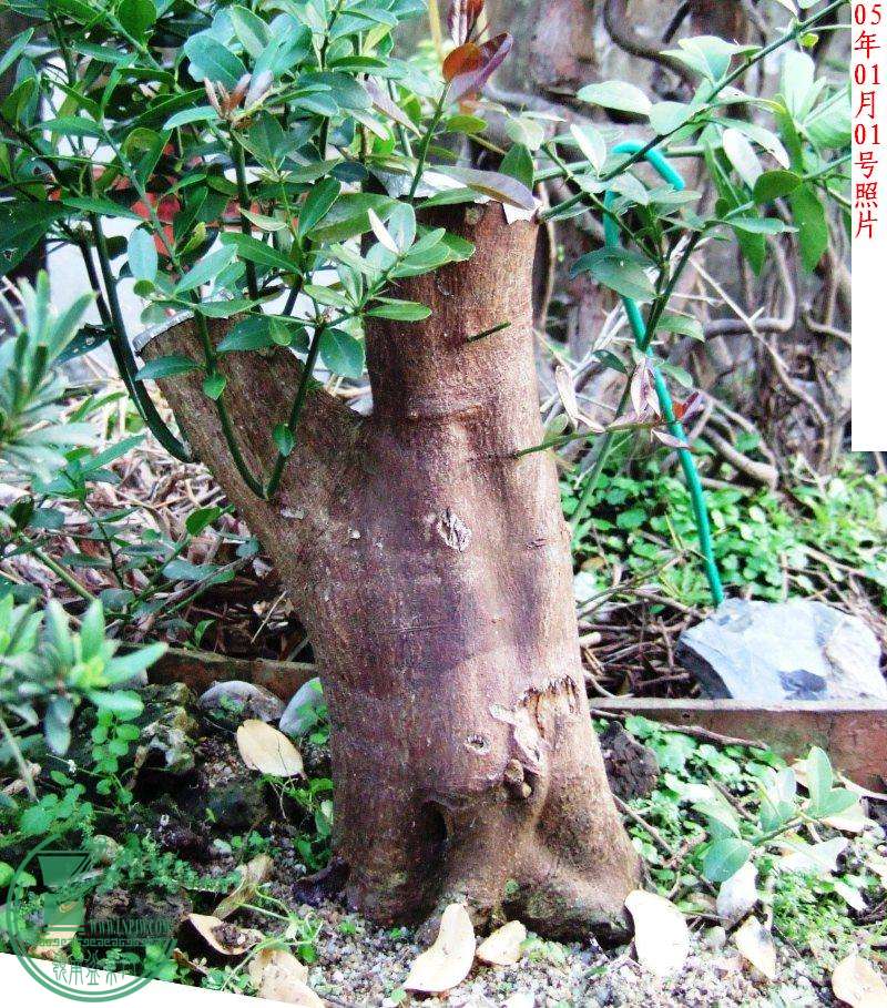 DSCF5769.JPG