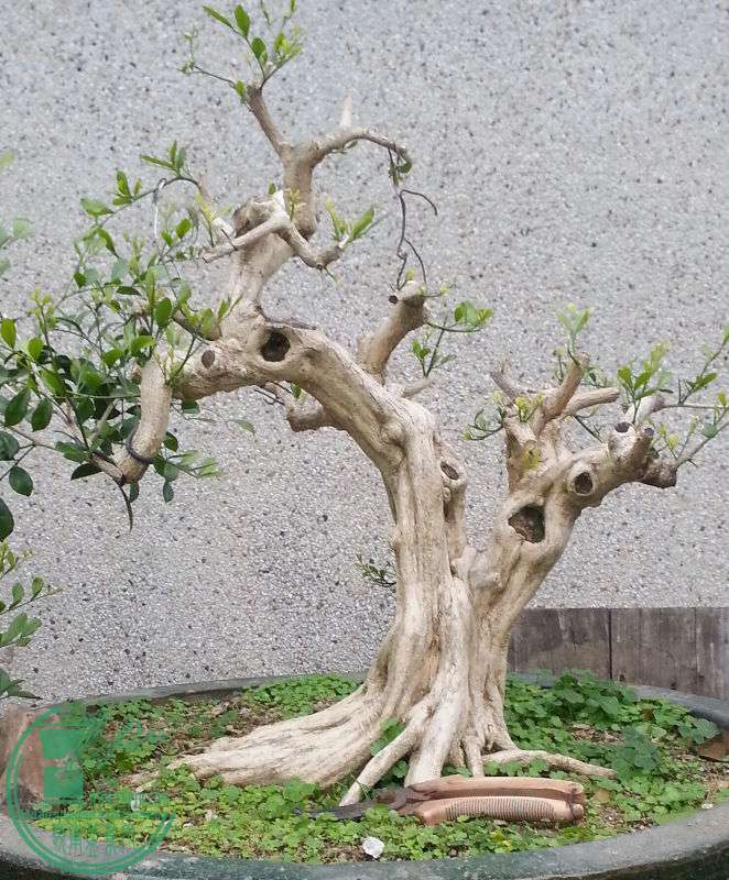 749966