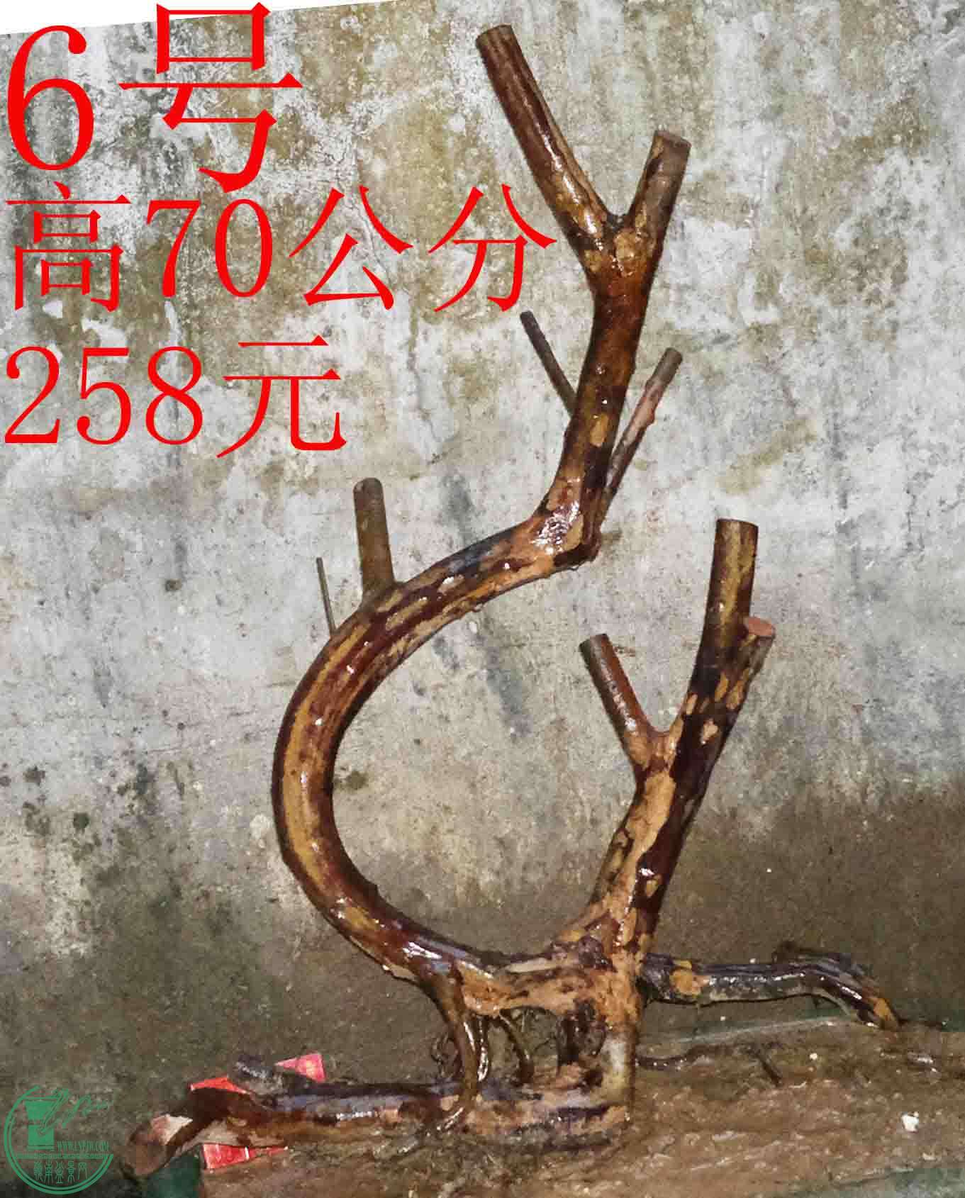 2016022610991.jpg