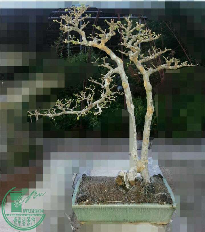 jpg_20160223_140927.jpg