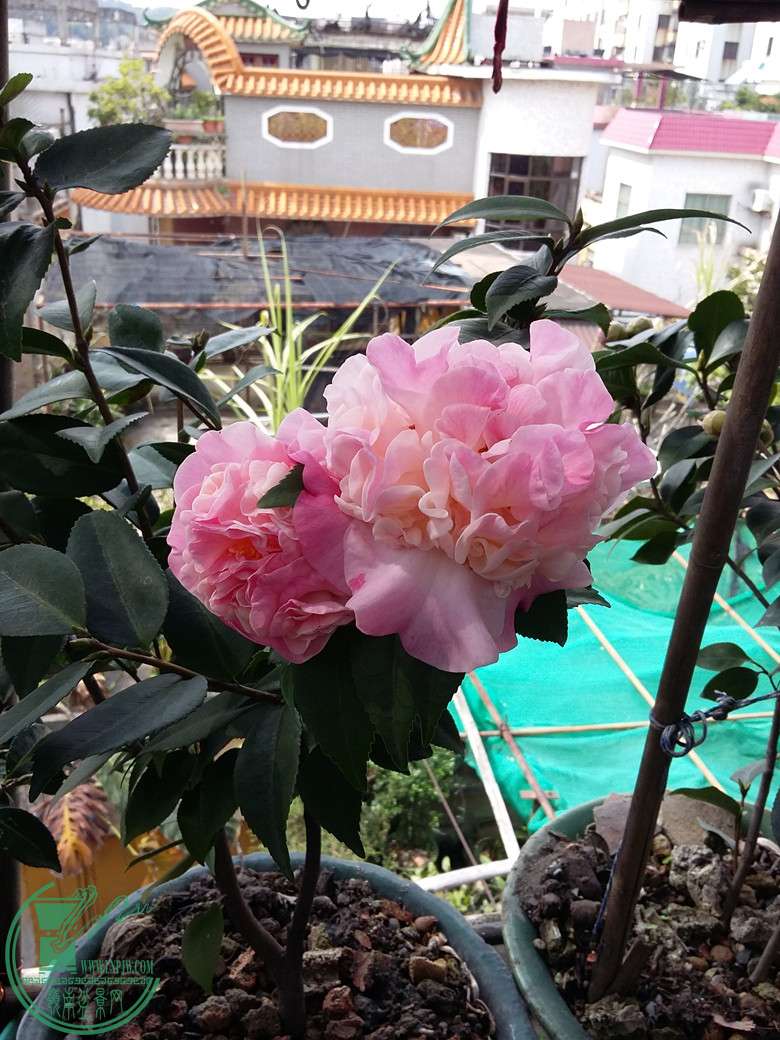 20160227_112136_.jpg