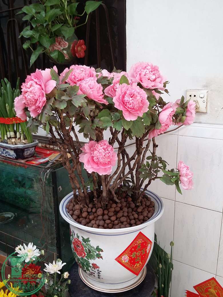 20160208_132325_.jpg
