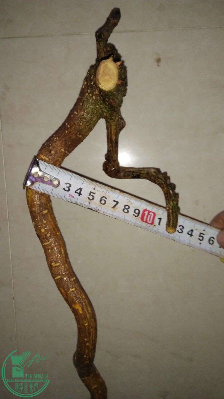 QQͼƬ20160228191221.jpg