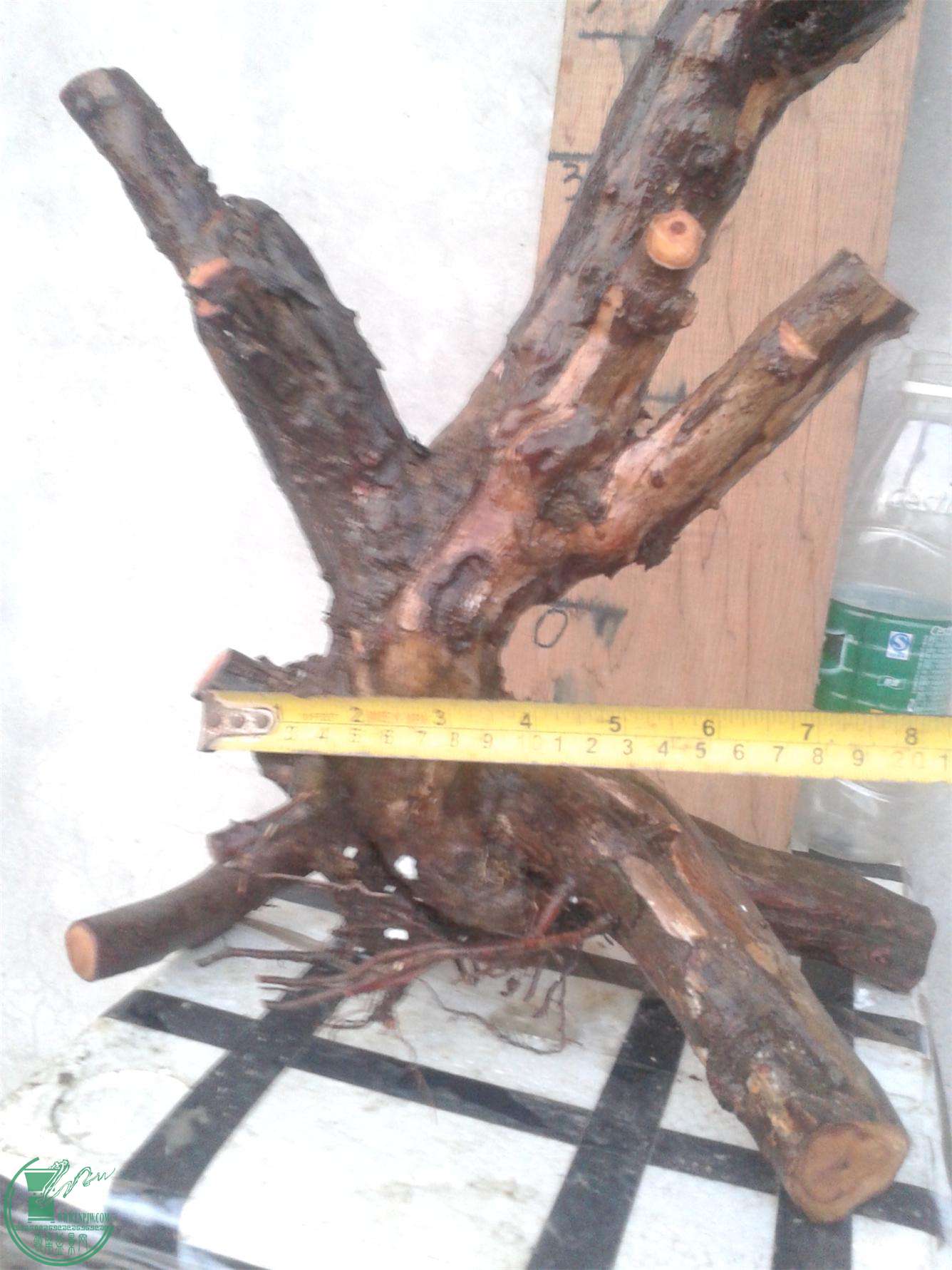 20160228_183442.jpg
