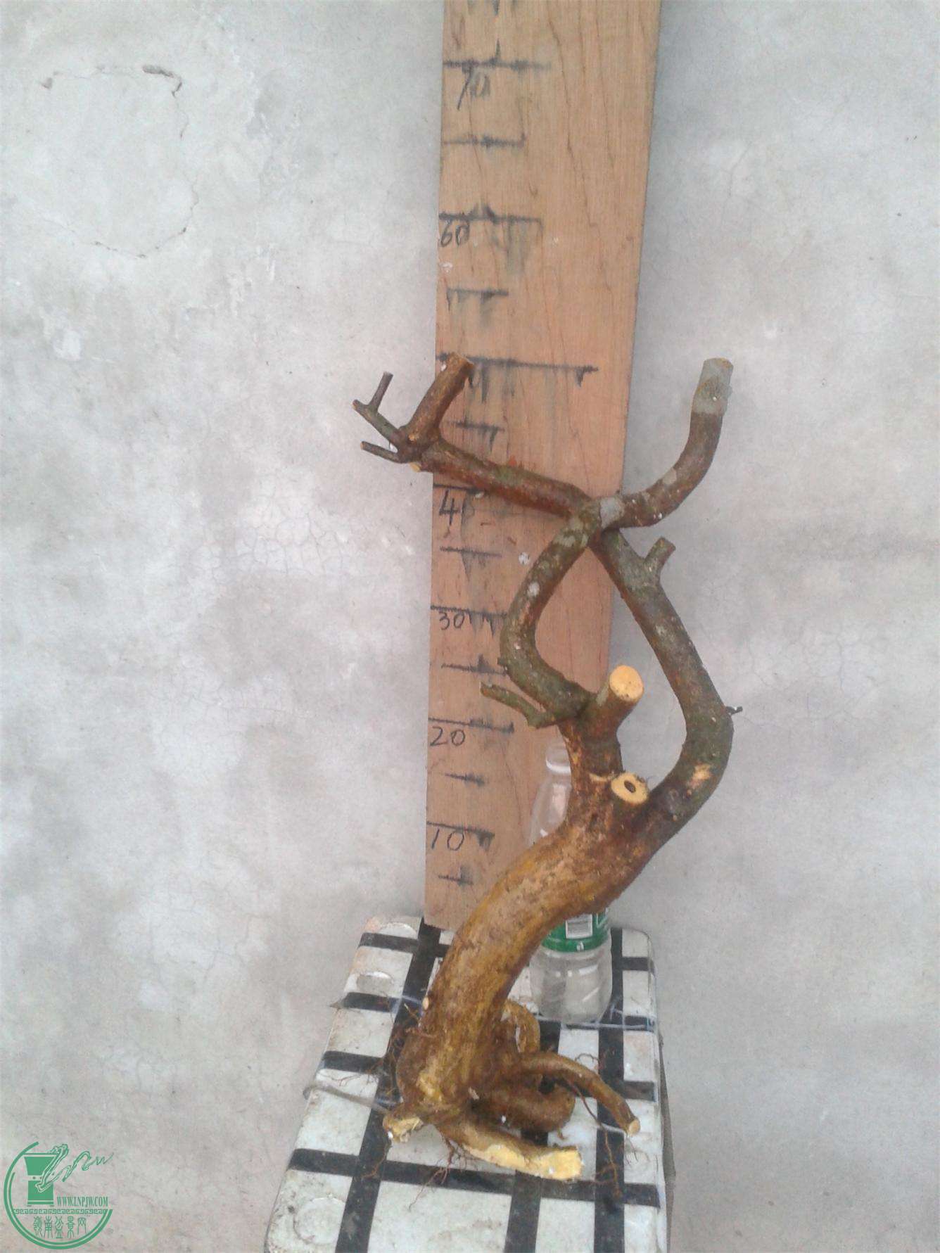 20160228_183635.jpg