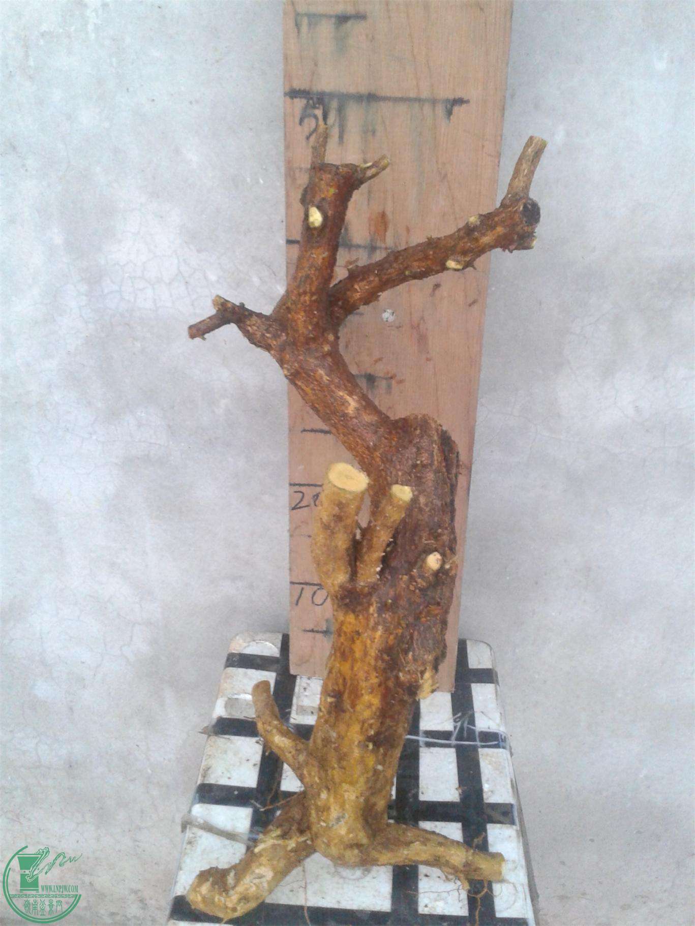 20160228_183834.jpg
