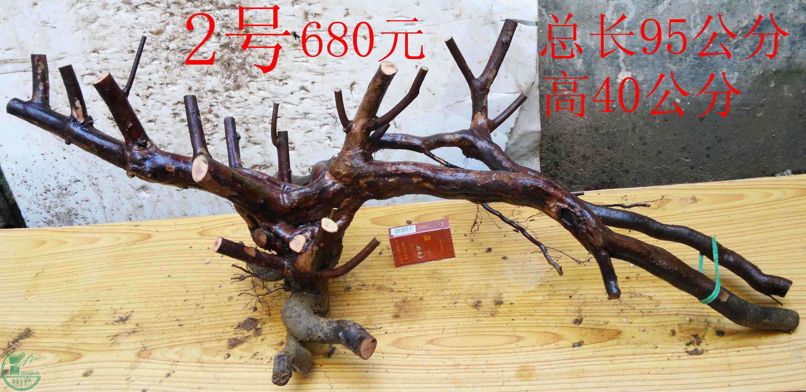 2016022811066.jpg