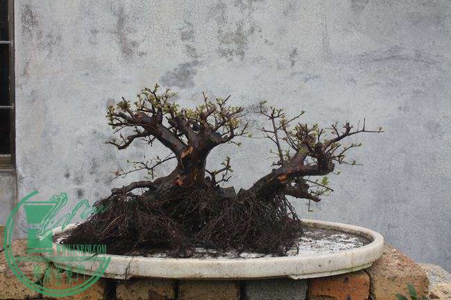 Ƭ20131026ۺ 813.jpg