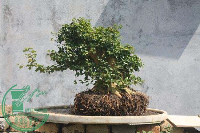 Ƭ20131026ۺ 830.jpg