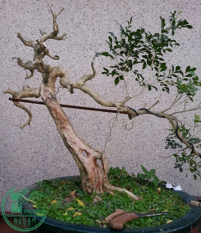 753985