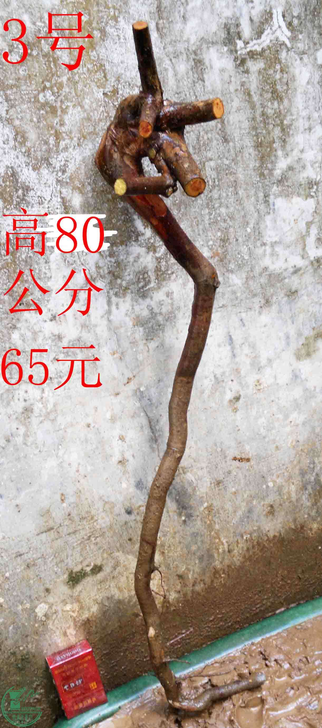 2016030111324.jpg