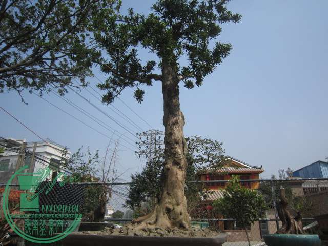 IMG_2228.JPG