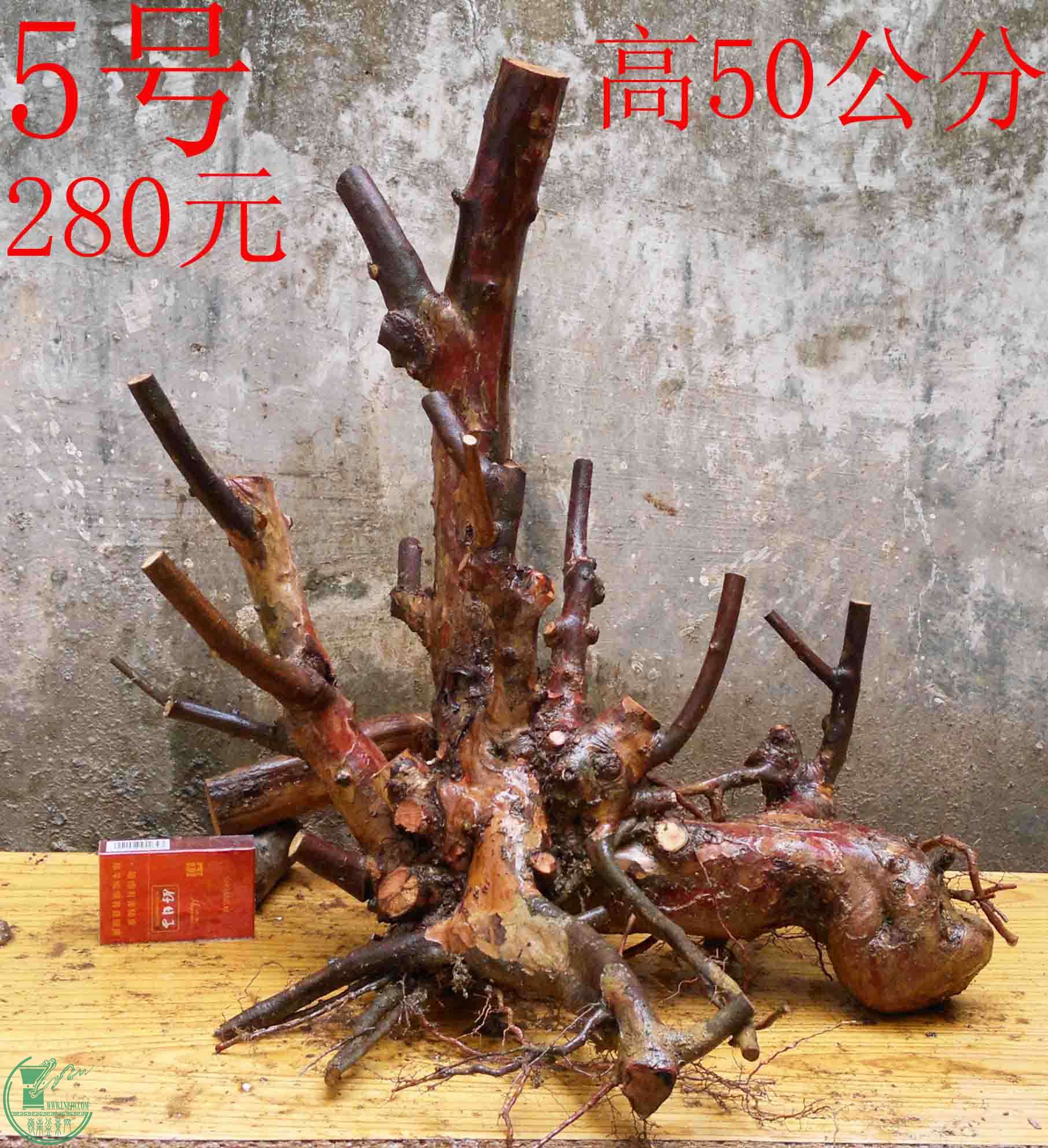 2016030311566.jpg
