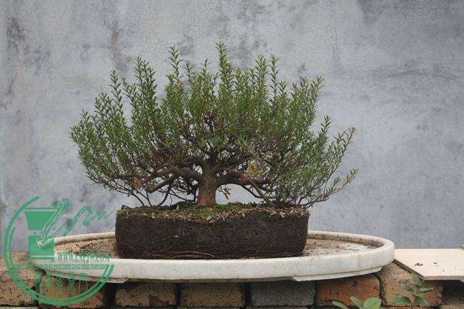 Ƭ20131026ۺ 885.jpg