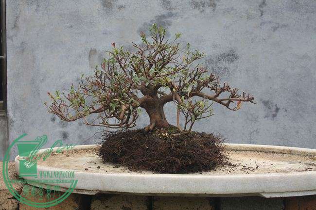 Ƭ20131026ۺ 892.jpg