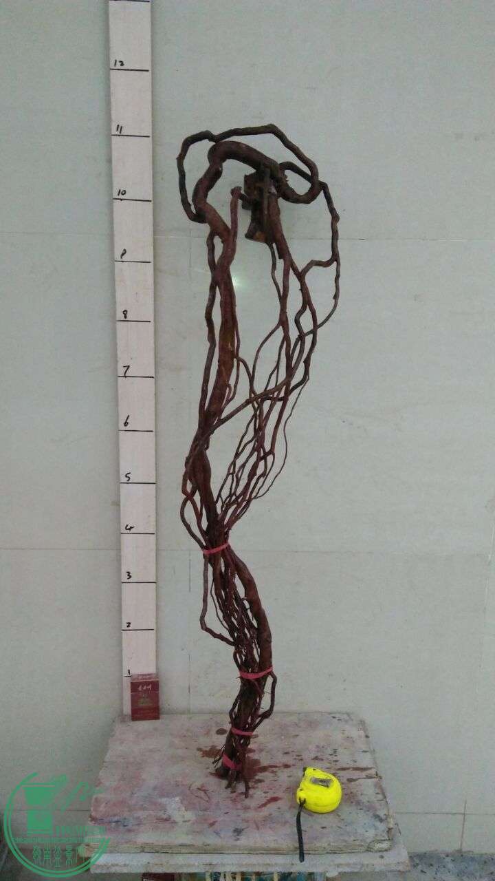 QQͼƬ20160308183758.jpg