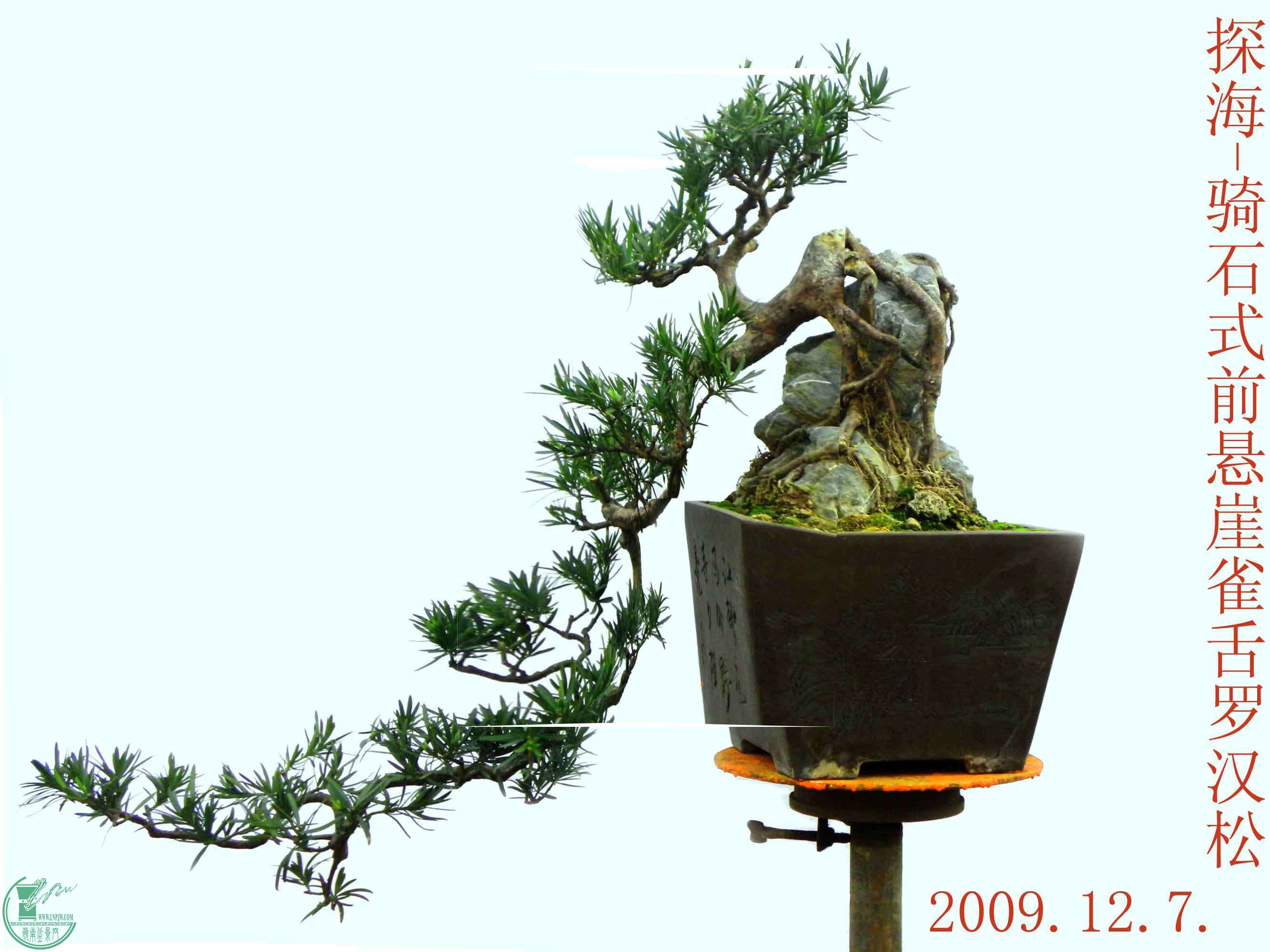 `2009.jpg