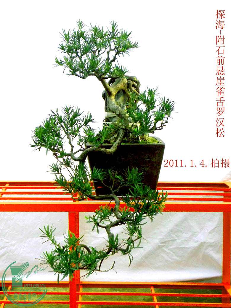 2011.1.4.jpg